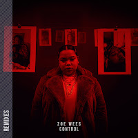 Zoe Wees - Control (Blinkie Remix) Ft Blinkie загрузить